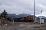 BNSF 8192/6129/612/FXE 4616